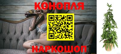 дурь Гусев