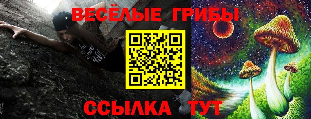 Галлюциногенные грибы прущие грибы  Вход с VPN  где купить наркотик  Галлюциногенные грибы Psilocybe  Кашира 